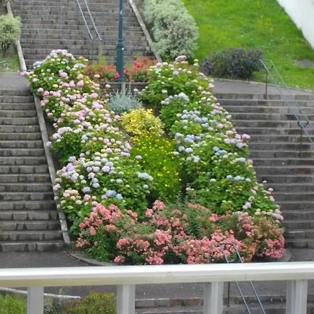 San Carlos Apartmán